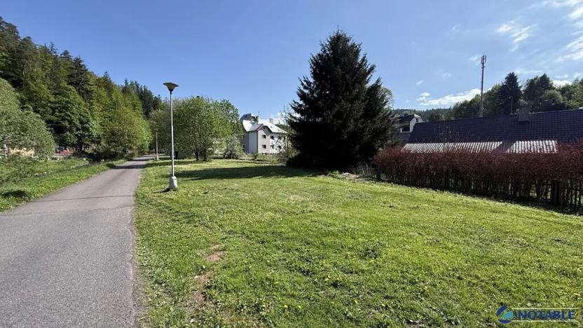 Prodej pozemku pro bydlení, Těchonín, 1527 m2