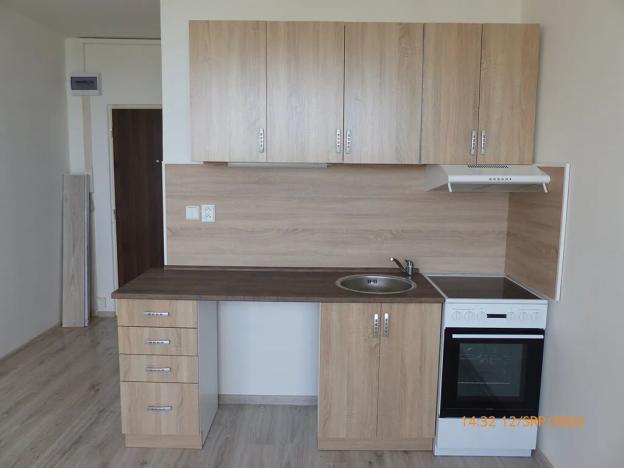 Pronájem bytu 1+kk, Litvínov, Mostecká, 24 m2
