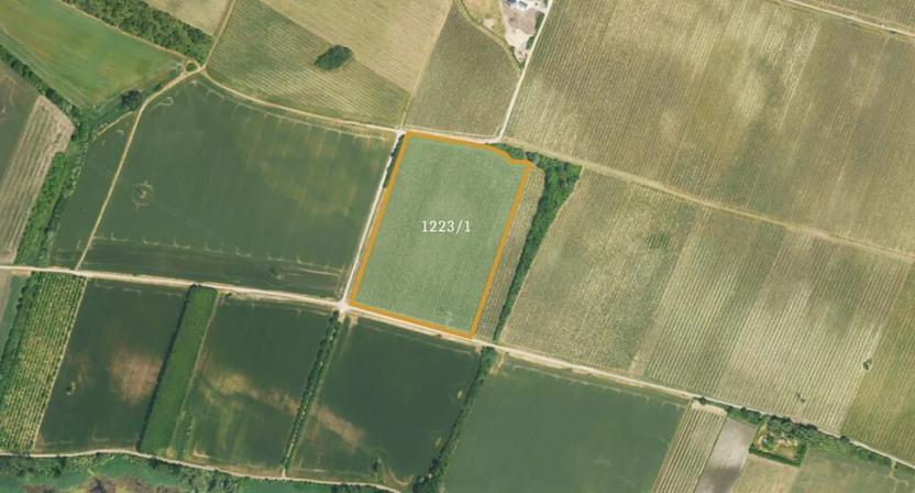 Prodej sadu/vinice, Sedlec, 35932 m2
