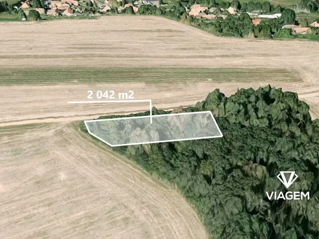 Prodej lesa, Lisov, 2042 m2