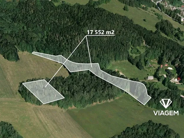 Prodej podílu lesa, Plavy, 1113 m2