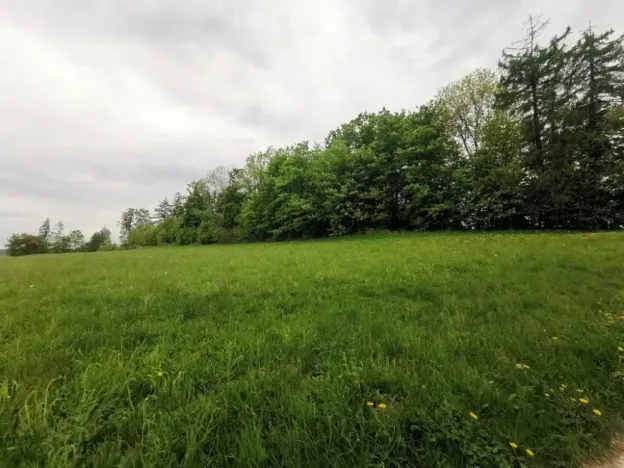 Prodej rodinného domu, Lomnice nad Popelkou, Stružinecká, 777 m2