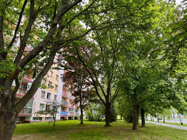 Pronájem bytu 1+kk, Pardubice, Brožíkova, 38 m2