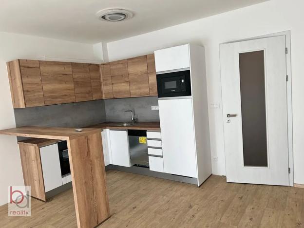 Pronájem bytu 1+kk, České Budějovice, Chelčického, 47 m2