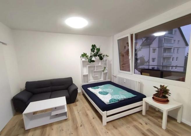 Pronájem bytu 1+kk, Plzeň, alej Svobody, 36 m2