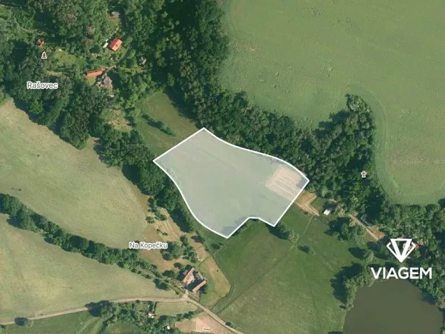 Prodej podílu pole, Dolní Bousov, 7017 m2