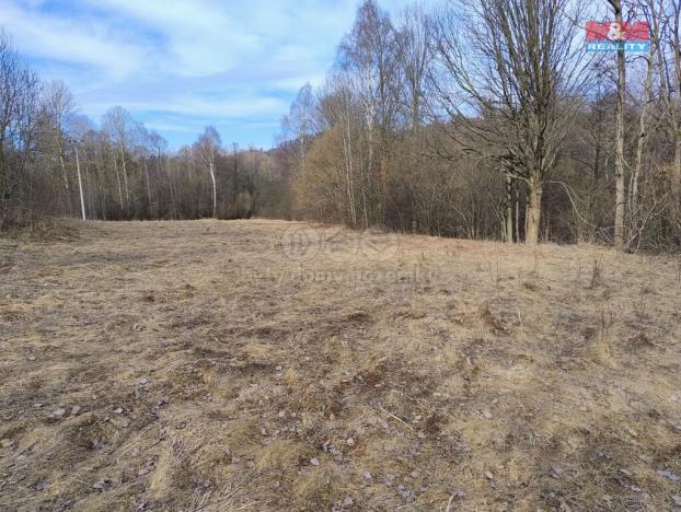 Prodej pozemku pro bydlení, Dolní Moravice, 1920 m2