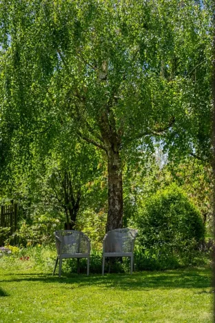 Prodej chalupy, Petrovice, 120 m2