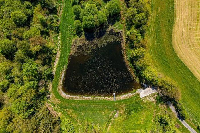 Prodej chalupy, Petrovice, 120 m2