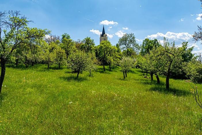 Prodej chalupy, Petrovice, 120 m2