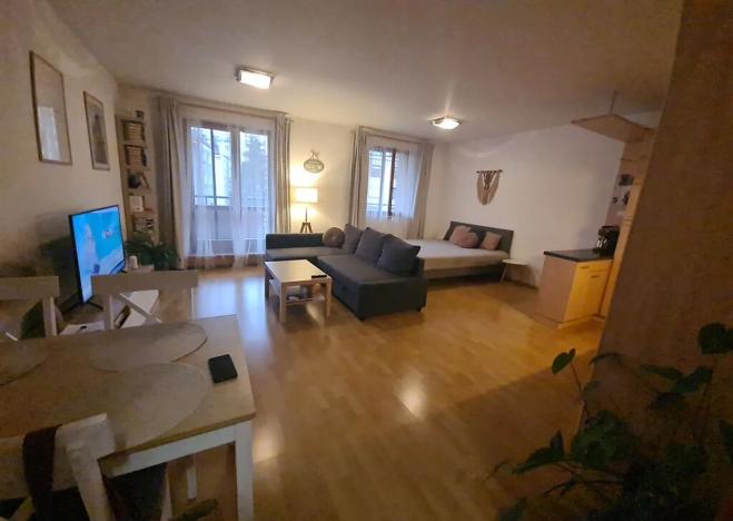 Pronájem bytu 1+kk, Praha - Břevnov, Patočkova, 44 m2