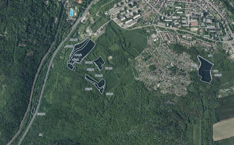 Prodej podílu louky, Bílina, 28028 m2