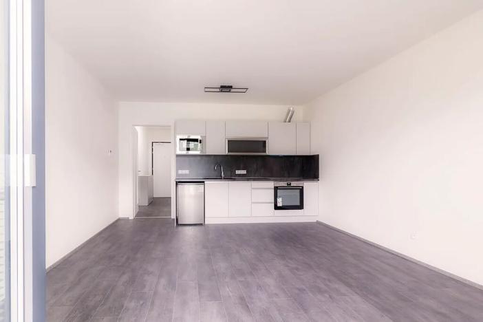 Pronájem bytu 1+kk, Praha - Žižkov, Hartigova, 31 m2