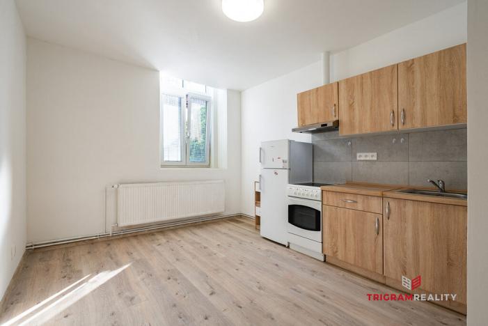 Pronájem bytu 1+kk, Hradec Králové - Plotiště nad Labem, Petra Jilemnického, 18 m2