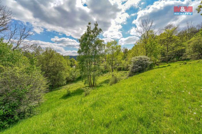 Prodej pozemku pro bydlení, Sušice - Nuzerov, 10400 m2