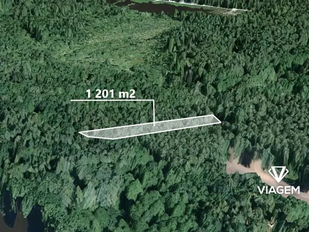 Prodej lesa, Třeboň, 1201 m2