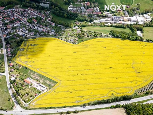 Prodej zahrady, Nová Včelnice, 3789 m2