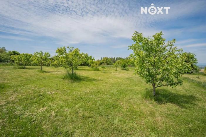 Prodej pozemku pro bydlení, Bílá Lhota, 1300 m2