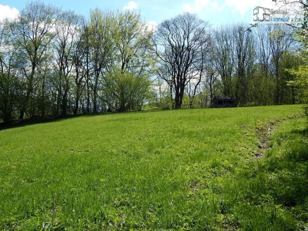 Prodej pozemku pro bydlení, Branná, 7409 m2