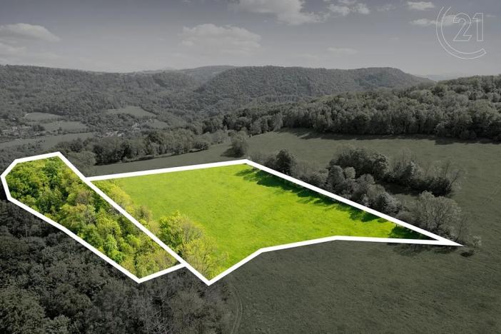 Prodej louky, Děčín, 19126 m2