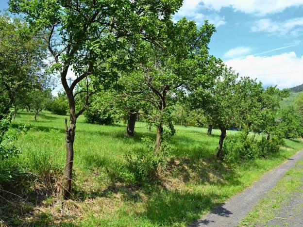 Prodej pozemku pro bydlení, Třebenice, 5844 m2