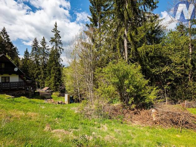 Prodej pozemku pro bydlení, Horní Vltavice, 598 m2