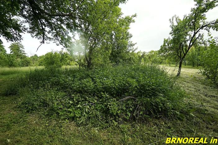 Prodej zahrady, Rousínov, 940 m2