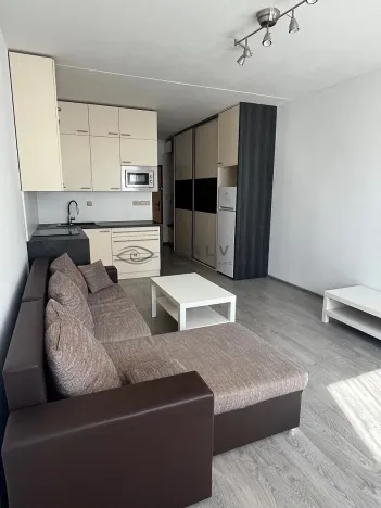 Pronájem bytu 1+kk, České Budějovice, K. Chocholy, 21 m2