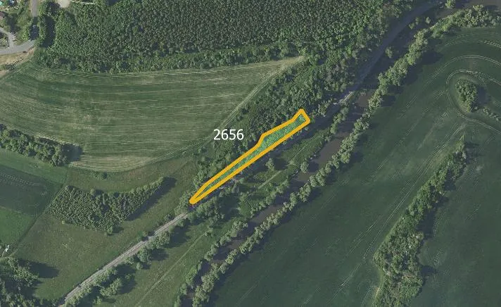 Prodej rybníku, Zruč nad Sázavou, 2604 m2