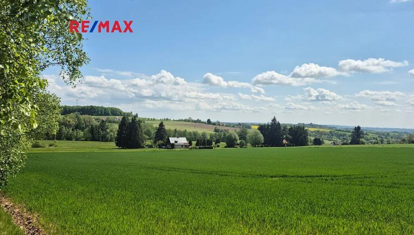 Prodej pozemku pro bydlení, Borová, 7429 m2