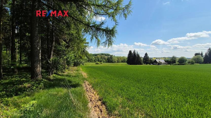 Prodej pozemku pro bydlení, Borová, 7429 m2