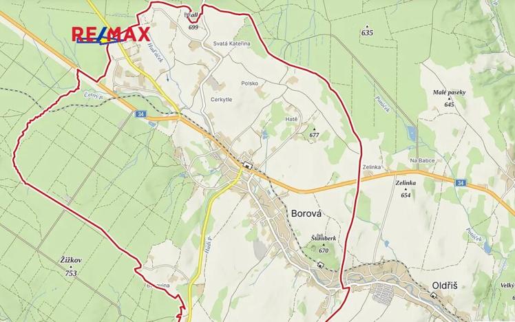 Prodej pozemku pro bydlení, Borová, 7429 m2