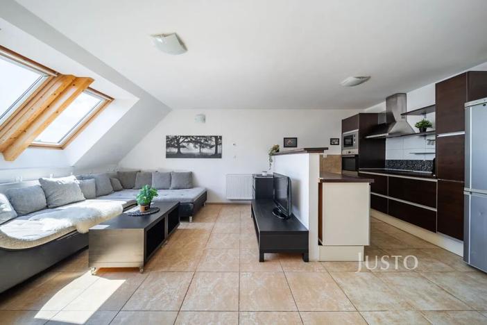 Prodej bytu 3+kk, České Budějovice, Rudolfovská tř., 66 m2