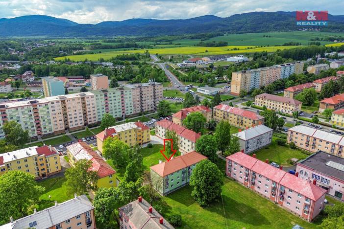 Prodej bytu 2+1, Ostrov, Šafaříkova, 55 m2