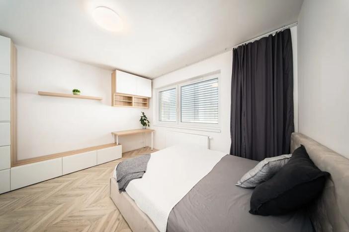 Pronájem bytu 1+kk, Brno, Cejl, 26 m2