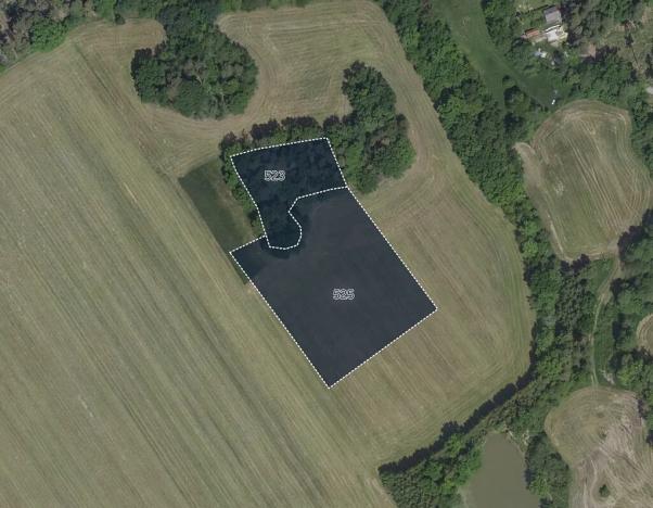 Prodej louky, Černíny, 6880 m2
