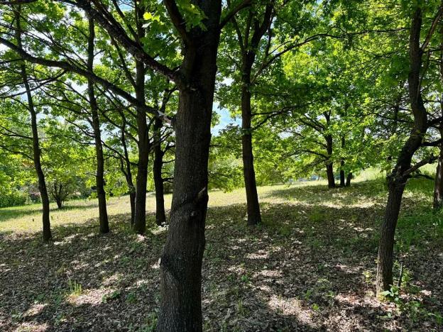 Prodej pozemku pro bydlení, Čerčany, Pod Rybníčkem, 1104 m2