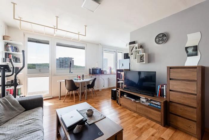 Prodej bytu 1+1, Praha - Krč, Štúrova, 43 m2