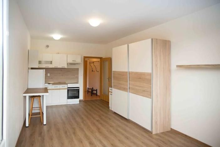 Pronájem bytu 1+kk, Praha - Kunratice, Merhoutova, 30 m2