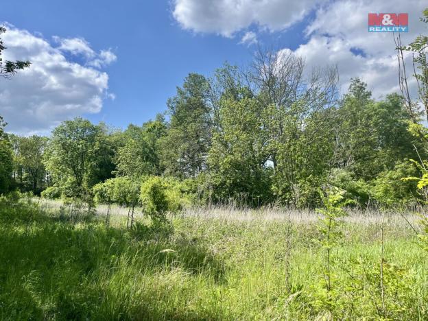 Prodej pole, Měcholupy - Želeč, 19910 m2