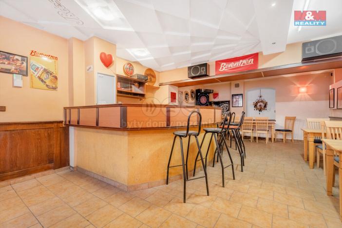 Prodej ubytování, Bílina - Mostecké Předměstí, Kyselská, 170 m2