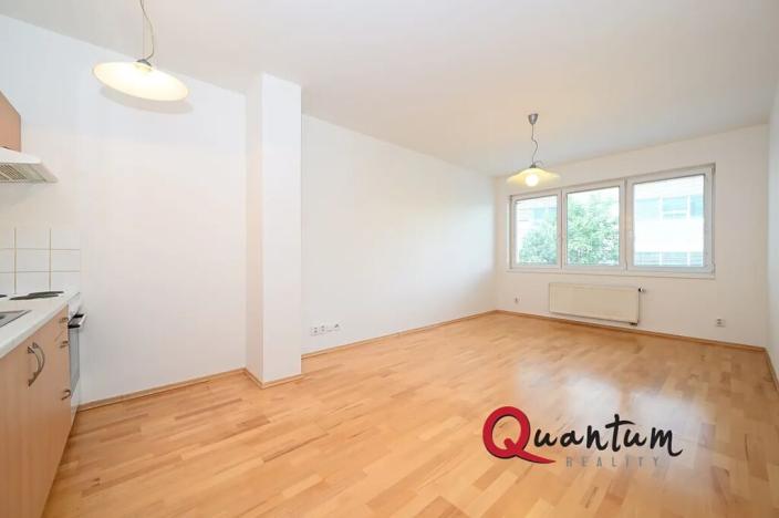 Pronájem bytu 1+kk, Praha - Michle, Jemnická, 30 m2