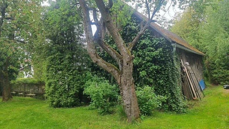 Prodej rodinného domu, Želetava, 110 m2