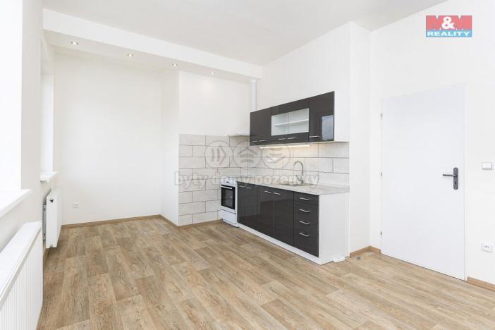 Pronájem bytu 1+1, Vysoké Mýto - Pražské Předměstí, Mánesova, 35 m2