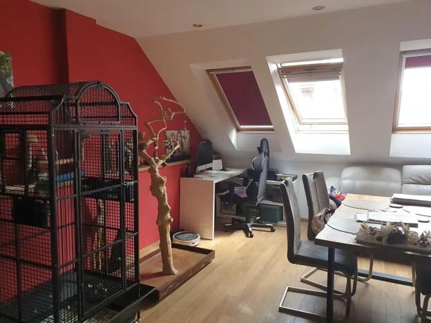 Prodej vícegeneračního domu, Břeclav, Písníky, 200 m2