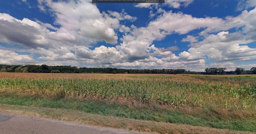 Prodej pole, Uhersko, 5031 m2