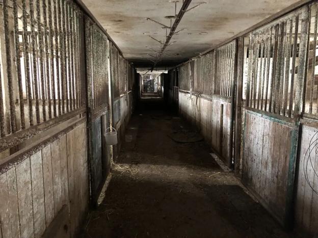 Pronájem skladu, Kynšperk nad Ohří, 990 m2