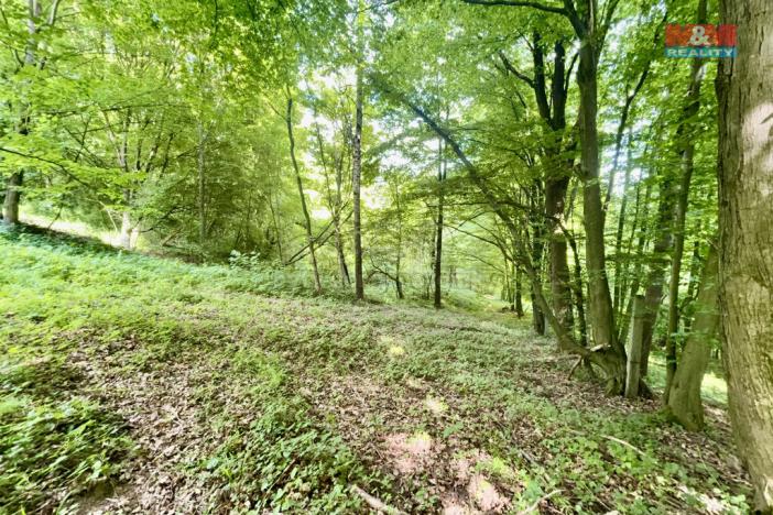 Prodej zahrady, Šarovy, 2923 m2