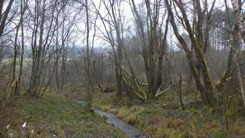 Prodej pozemku, Vyšší Brod, 2894 m2