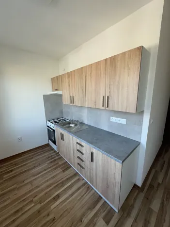 Pronájem bytu 2+1, Nový Jičín, Trlicova, 53 m2